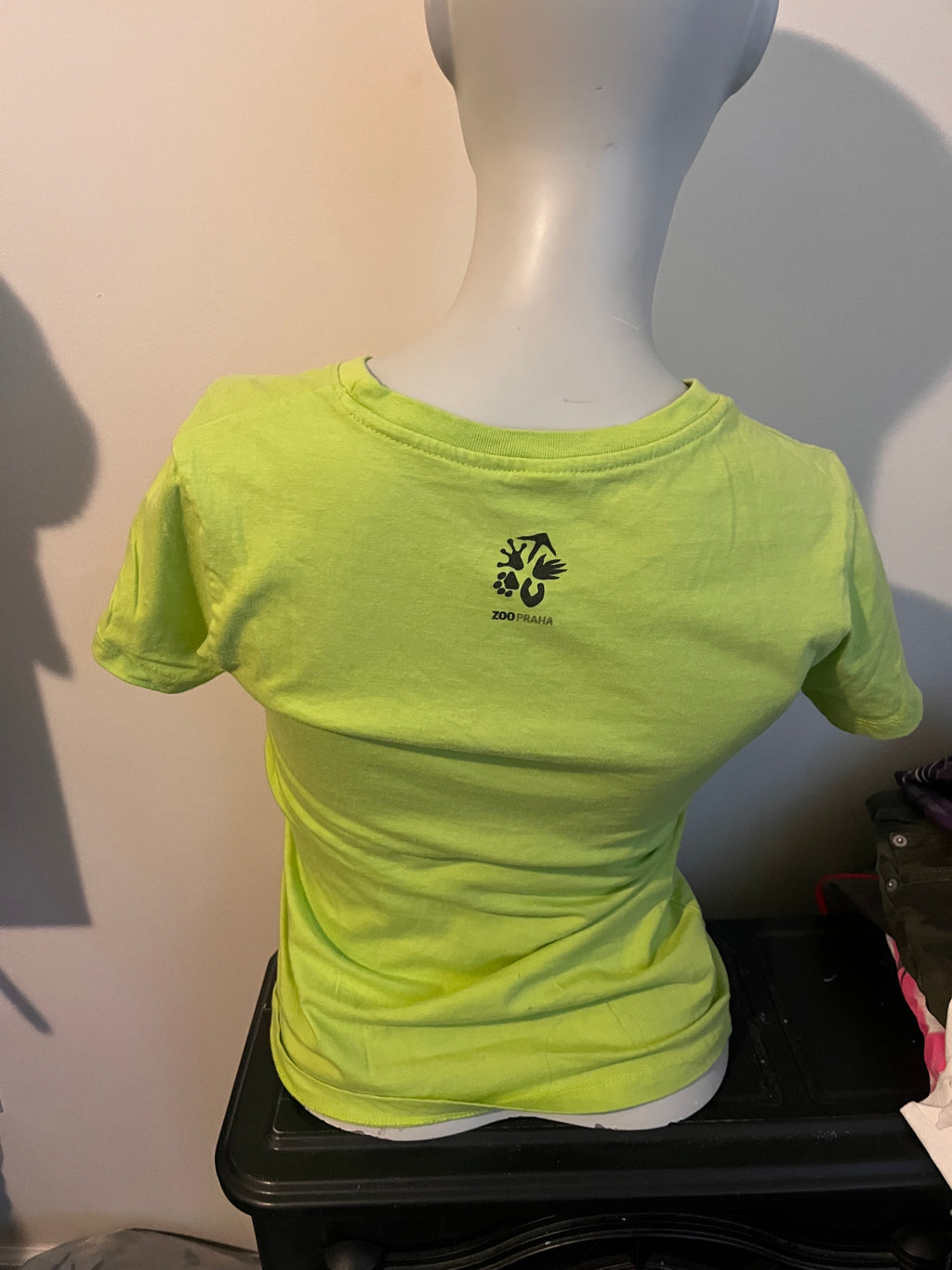 Lioness Graphic Tee